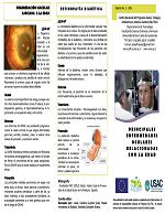 Descarga Materiales de Difusión Volumen #4: Principales enfermedades oculares relacionadas con la edad, Publicado en Setiembre, 2014 