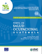 Descarga de Serie, Salud y Trabajo número 12, Publicado en Abril, 2013  