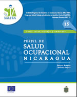 Descarga de Serie, Salud y Trabajo número 15, Publicado en Diciembre, 2013 