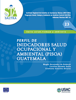 Descarga de Serie, Salud y Trabajo número 23, Publicado en Octubre, 2015 